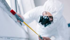 Best Termite Inspection and Treatment  in University Of Pittsburgh Johnstown, PA